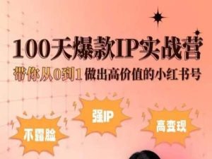 小红书的100天爆品IP实战营，陪你从0到1作出高颜值的小红书号-缔造者