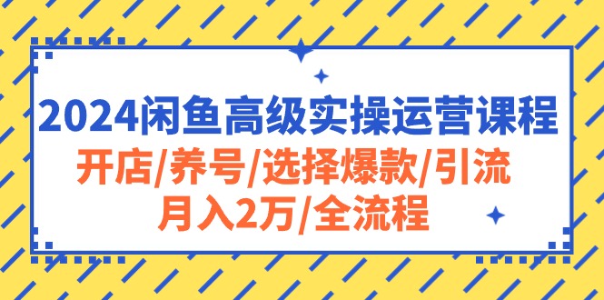 2024闲鱼高级实操运营课程：开店/养号/选择爆款/引流/月入2万/全流程-缔造者