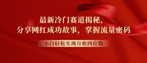 全新小众跑道揭密，分享网红成功的故事，新手快速掌握总流量登陆密码-缔造者