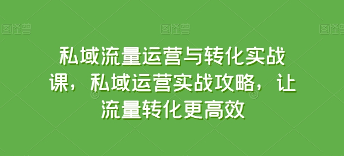 私域流量运营与转化实战课，私域运营实战攻略，让流量转化更高效-缔造者