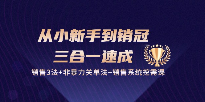 从小新手到销冠三合一速成：销售3法+非暴力关单法+销售系统挖需课 (27节)-缔造者