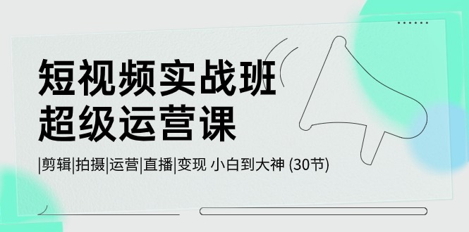 小视频实战演练班-非常运营课，|视频剪辑|拍照|运作|直播间|转现 新手到高手 (30节)-缔造者