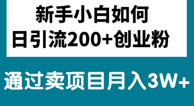 新手入门日引流方法200 自主创业粉,根据卖项目月入3W-缔造者