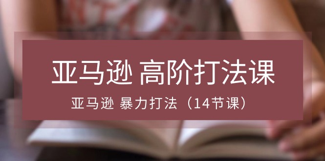 亚马逊平台 高级玩法课，亚马逊平台 暴力行为玩法（14堂课）-缔造者