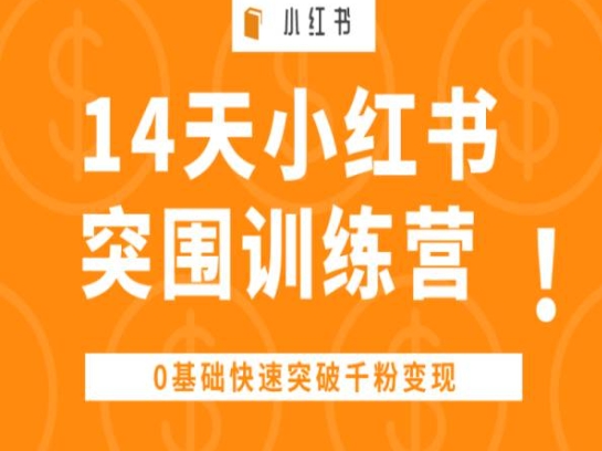 14天小红书的突出重围夏令营 ，0基本快速突破千粉转现-缔造者