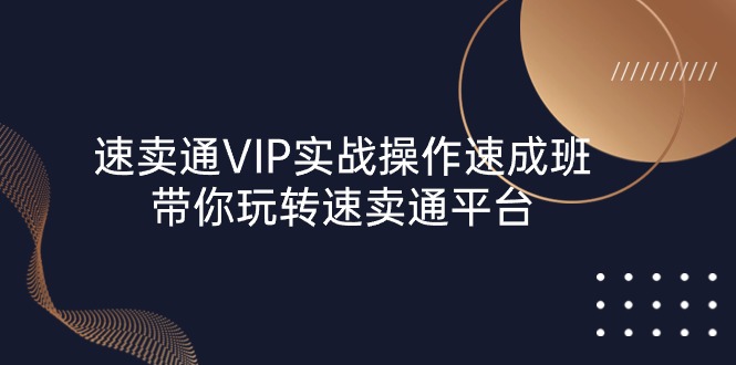 速卖通 VIP实战操作-速成班，带你玩转速卖通平台（23节）-缔造者