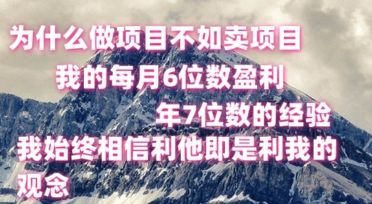 做项目不如卖项目，每月6位数盈利，年7位数经验-缔造者