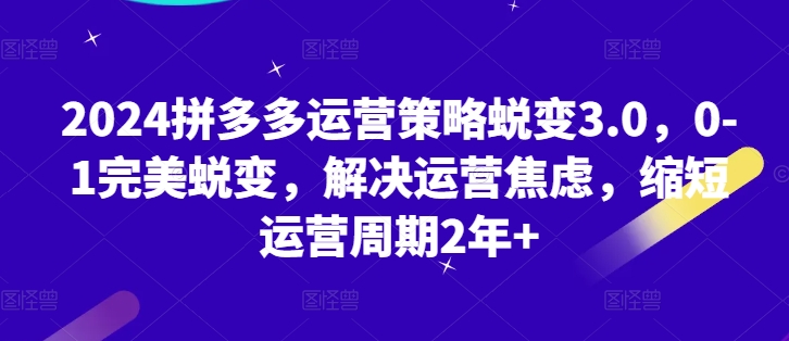 2024拼多多运营对策成长3.0，0-1华丽蜕变，处理经营焦虑情绪，减少运营周期2年-缔造者