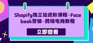 Shopify自建站升阶课程内容-Facebook营销推广-跨境电子商务实例教程-缔造者