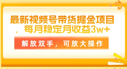 全新视频号带货掘金队新项目，每月平稳月盈利1w ，解锁新技能，可变大实际操作-缔造者