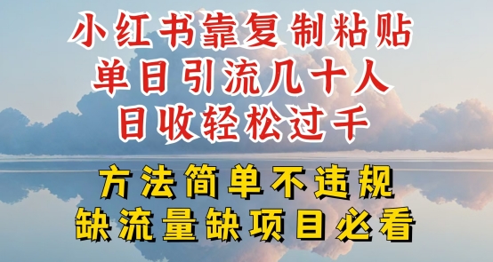 小红书靠复制粘贴单日引流几十人目收轻松过千，方法简单不违规【揭秘】-缔造者