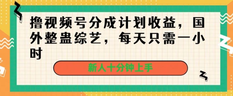 撸视频号分成计划收益，国外整蛊综艺，每天只需一小时，新人十分钟上手-缔造者