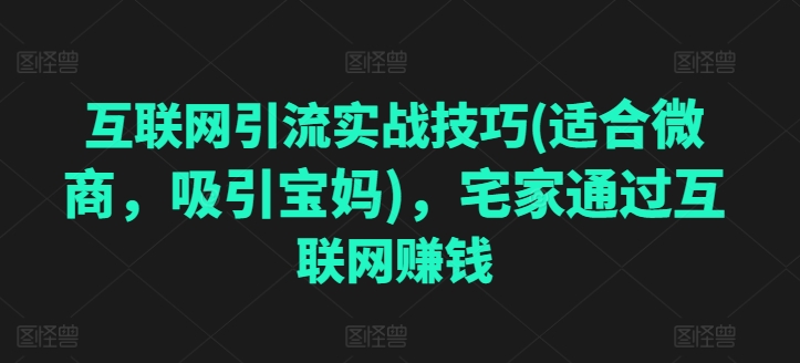 互联网引流实战经验(适宜微商代理，吸引住宝妈妈)，蹲在家里根据网络赚钱-缔造者