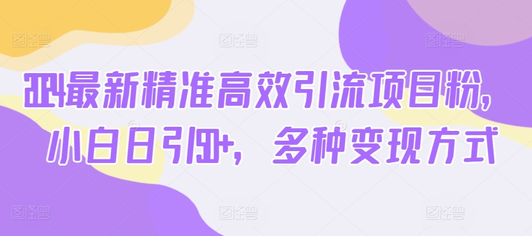 2024全新高效便捷引流项目粉，新手日引50 ，多种多样变现模式-缔造者