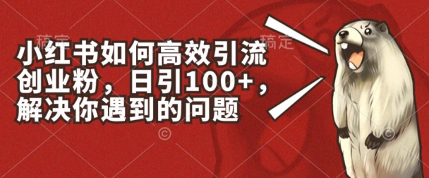 小红书的如何有效引流方法自主创业粉，日引100 ，解决你遇到的困难【揭密】-缔造者