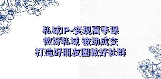 私域IP-变现高手课：做好私域 被动成交，打造好朋友圈做好社群（18节）-缔造者