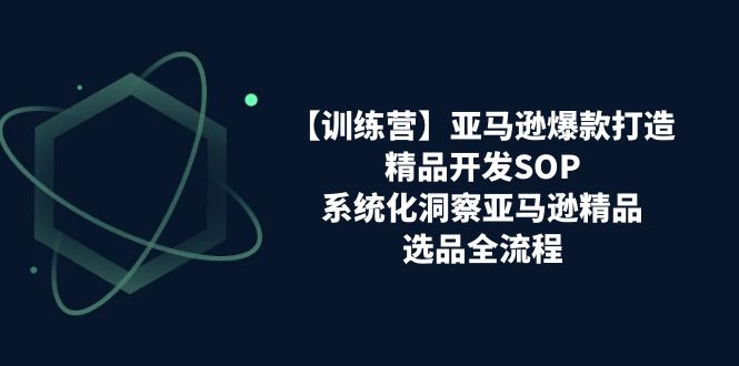 【训练营】亚马逊爆款打造之精品开发SOP，系统化洞察亚马逊精品选品全流程-缔造者