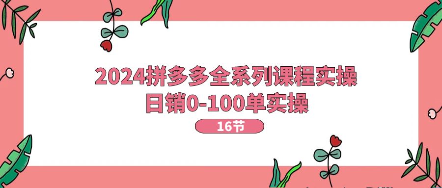 2024拼多多全系列课程实操，日销0-100单实操【16节课】-缔造者