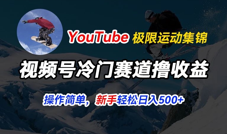 微信视频号小众跑道撸盈利，YouTube运送滑雪运动合集，暴力行为养号，使用方便总流量高，轻轻松松日入5张【揭密】-缔造者