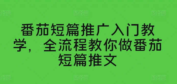 西红柿短篇小说营销推广新手入门课堂教学，全过程手把手带你西红柿短篇小说文章-缔造者