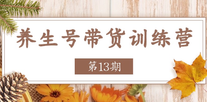 健康养生号卖货夏令营【第13期】盈利更稳定的游戏玩法，使你卖货盈利发生爆炸-缔造者